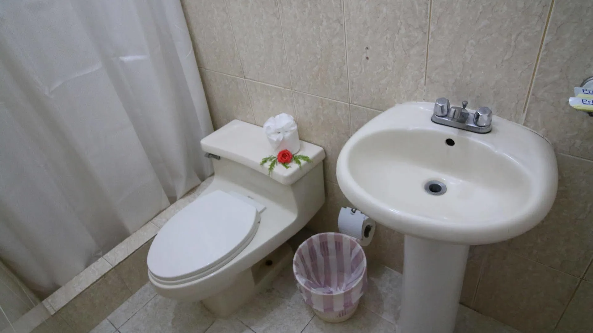 Mini-hôtel Hotel Odette Colonial Saint-Domingue